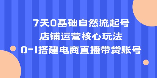 （5350期）7天0基础自然流起号，店铺运营核心玩法，0-1搭建电商直播带货账号-副业宝典