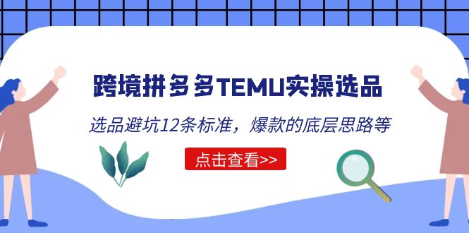 （5402期）跨境拼多多TEMU实操选品运营方法，选品避坑12条标准，爆款的底层思路等-副业宝典