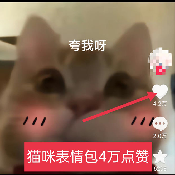 图片[3]-（5498期）黑科技纯原创可爱猫咪图片，全网精准引流，实操5个VX号被加频繁-副业宝典