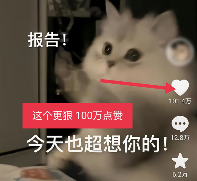 图片[4]-（5498期）黑科技纯原创可爱猫咪图片，全网精准引流，实操5个VX号被加频繁-副业宝典