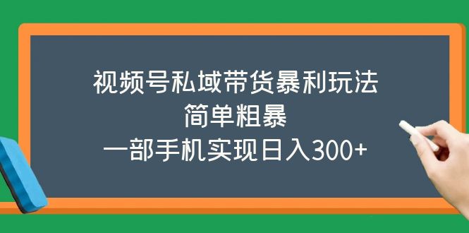 （5544期）视频号私域带货暴利玩法，简单粗暴，一部手机实现日入300+-副业宝典