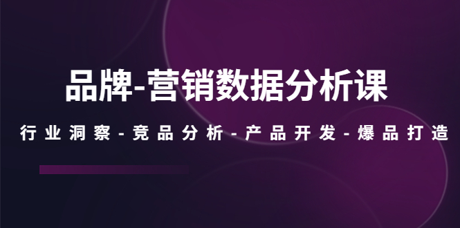 （5565期）品牌-营销数据分析课，行业洞察-竞品分析-产品开发-爆品打造-副业宝典