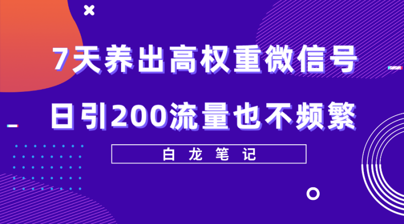（5630期）7天养出高权重微信号，日引200流量也不频繁，方法价值3680元-副业宝典