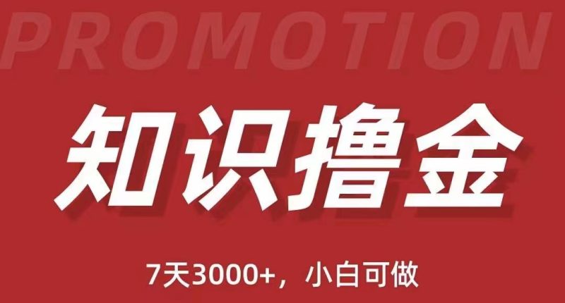 （5629期）抖音知识撸金项目：简单粗暴日入1000+执行力强当天见收益(教程+资料)-副业宝典