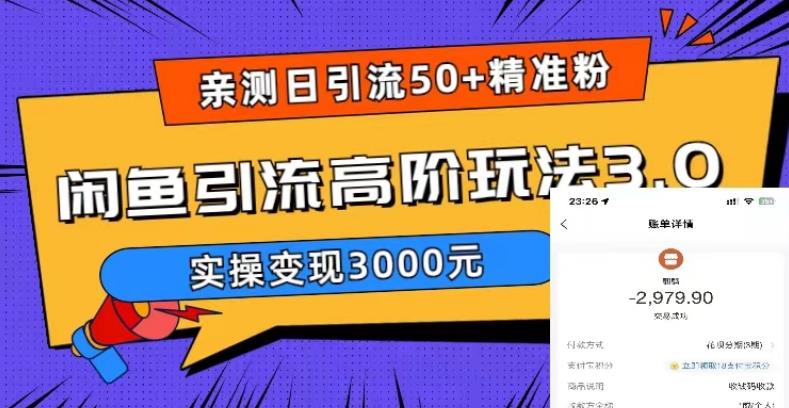 （5739期）实测日引50+精准粉，闲鱼引流高阶玩法3.0，实操变现3000元-副业宝典