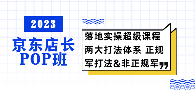 （5699期）2023京东店长·POP班 落地实操超级课程 两大打法体系 正规军&非正规军-副业宝典