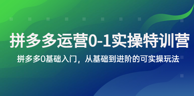 （5747期）拼多多-运营0-1实操训练营，拼多多0基础入门，从基础到进阶的可实操玩法-副业宝典