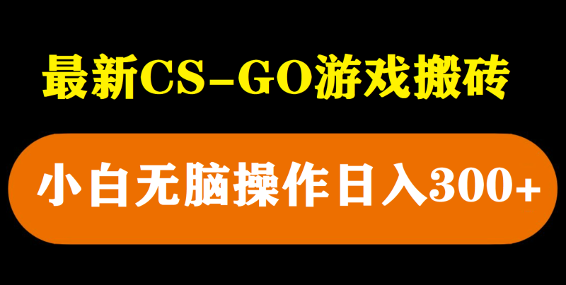 （5760期）最新csgo游戏搬砖游戏，无需挂机小白无脑也能日入300+-副业宝典