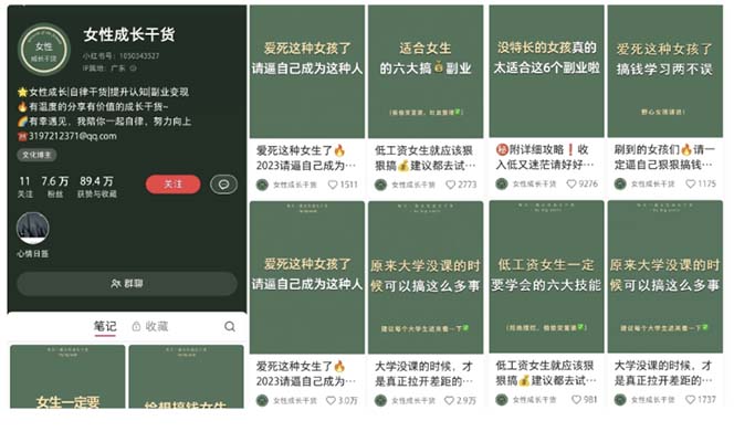 图片[3]-（5852期）小红书各行业引流玩法，从养号到制作到引流等，一条龙分享给你-副业宝典