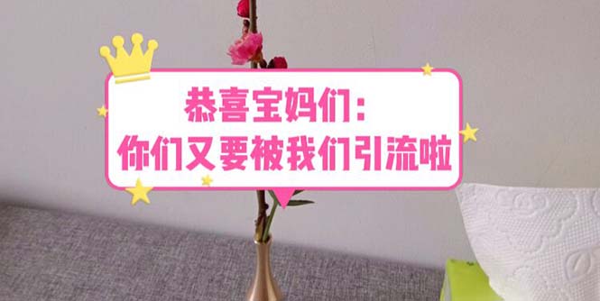 （5891期）恭喜宝妈们：你们又要被我们引流了（教程+222g资料）-副业宝典