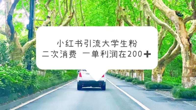 （5914期）小红书引流大学生粉，变现项目，一单利润在200+（教程+资源）-副业宝典