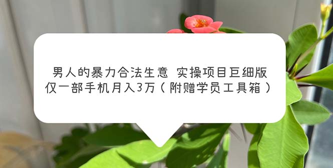 （5962期）男人的暴力合法生意实操项目巨细版：仅一部手机月入3w（附赠学员工具箱）-副业宝典