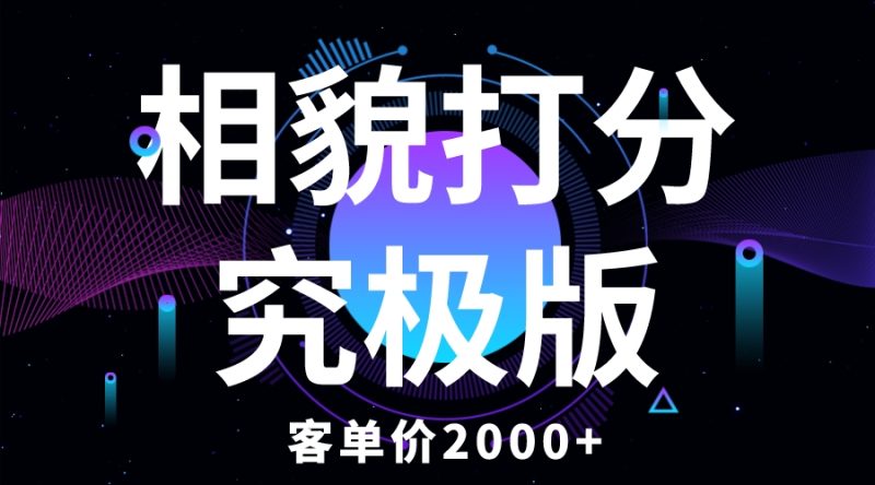 （5980期）相貌打分究极版，客单价2000+纯新手小白就可操作的项目-副业宝典