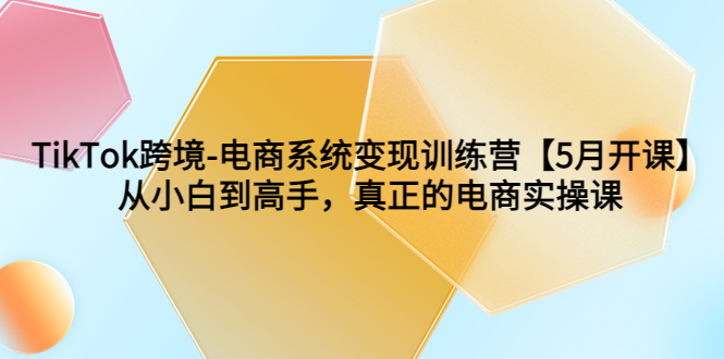 （6058期）TikTok跨境-电商系统变现训练营【5月新课】从小白到高手，真正的电商实操课-副业宝典