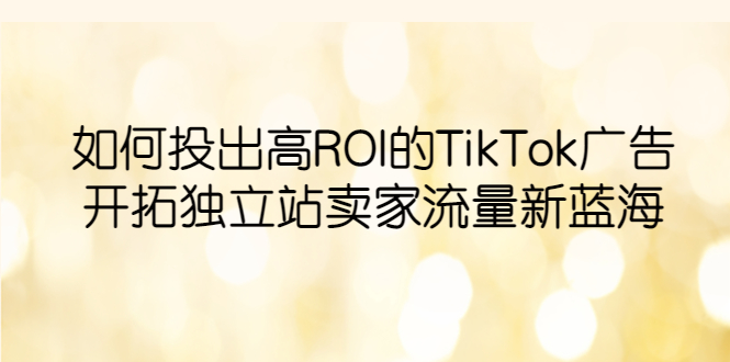 （6102期）如何投出高ROI·TikTok广告，开拓独立站卖家流量新蓝海-副业宝典