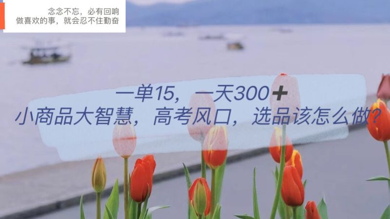 （6077期）一单15，一天300+，小商品大智慧，高考风口，选品该怎么布局-副业宝典
