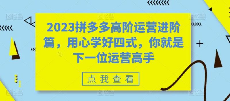 （6193期）2023拼多多高阶运营进阶篇，用心学好四式，你就是下一位运营高手-副业宝典