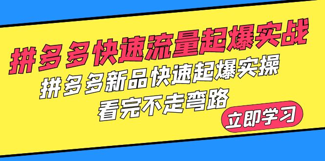 （6253期）拼多多-快速流量起爆实战，拼多多新品快速起爆实操，看完不走弯路-副业宝典