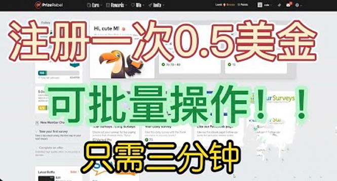（6285期）国外项目注册一次0.5美金 只需三分钟无脑操作 可批量放大 小白工作室福利-副业宝典