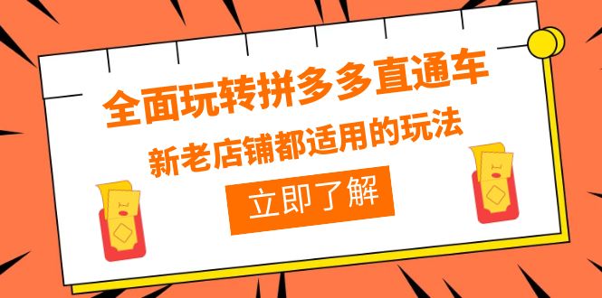 （6294期）全面玩转拼多多直通车，新老店铺都适用的玩法（12节精华课）-副业宝典