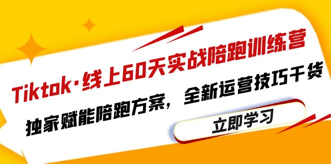 （6333期）Tiktok·线上60天实战陪跑训练营，独家赋能陪跑方案，全新运营技巧干货-副业宝典