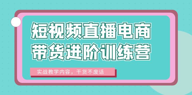 （6401期）短视频直播电商带货进阶训练营：实战教学内容，干货不废话！-副业宝典