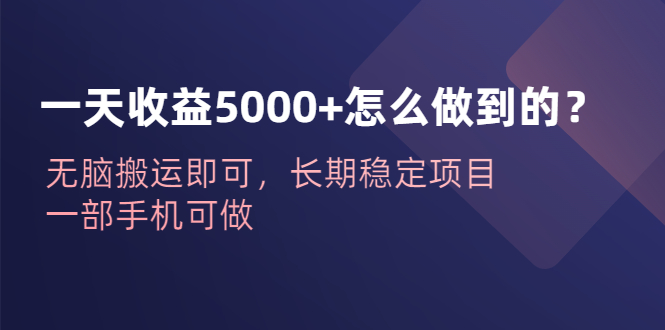 （6435期）一天收益5000+怎么做到的？无脑搬运即可，长期稳定项目，一部手机可做-副业宝典