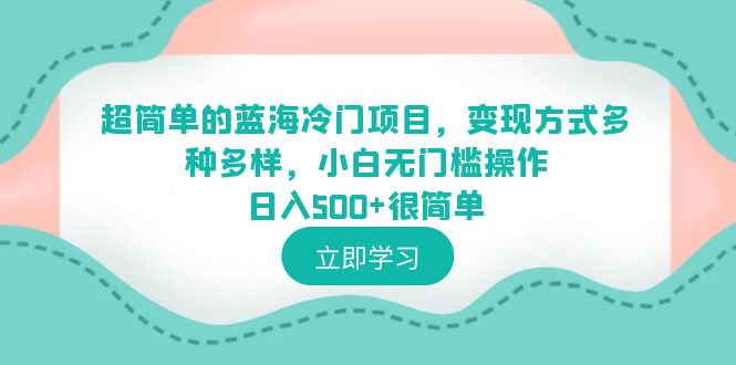 （6422期）超简单的蓝海冷门项目，变现方式多种多样，小白无门槛操作日入500+很简单-副业宝典