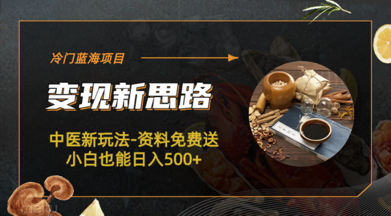 （6452期）冷门蓝海项目-中医新玩法-资料免费送小白也能日入500+-副业宝典