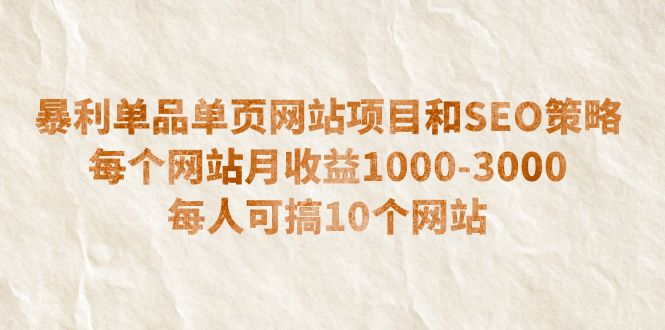 （6503期）暴利单品单页网站项目和SEO策略  每个网站月收益1000-3000  每人可搞10个-副业宝典