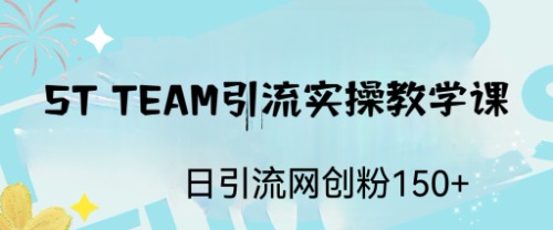 （6578期）ST TEAM引流实操课，日引流网创粉100+-副业宝典