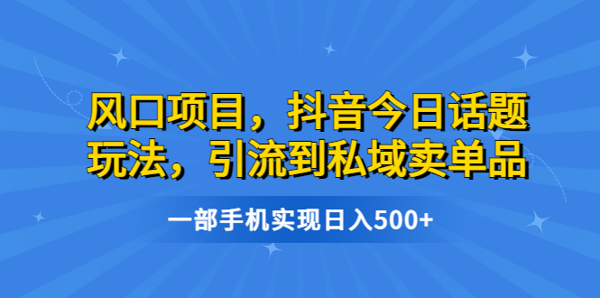 （6588期）风口项目，抖音今日话题玩法，引流到私域卖单品，一部手机实现日入500+-副业宝典