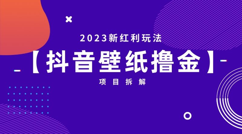 （6579期）2023新红利玩法：抖音壁纸撸金项目-副业宝典