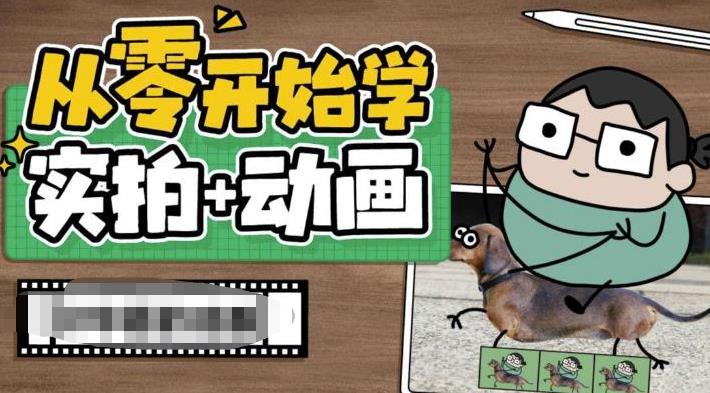 （6570期）从零开始学实拍加动画，实拍加动画创意教程（49节视频课）-副业宝典