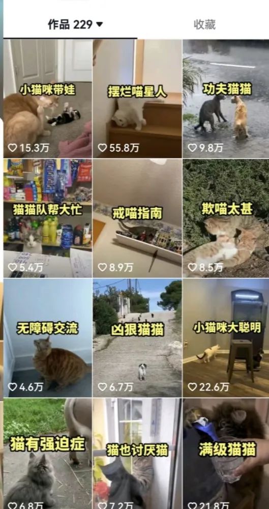图片[3]-（6568期）拆解：抖音盘点类中视频变现副业项目，视频版一条龙大解析分享给你-副业宝典