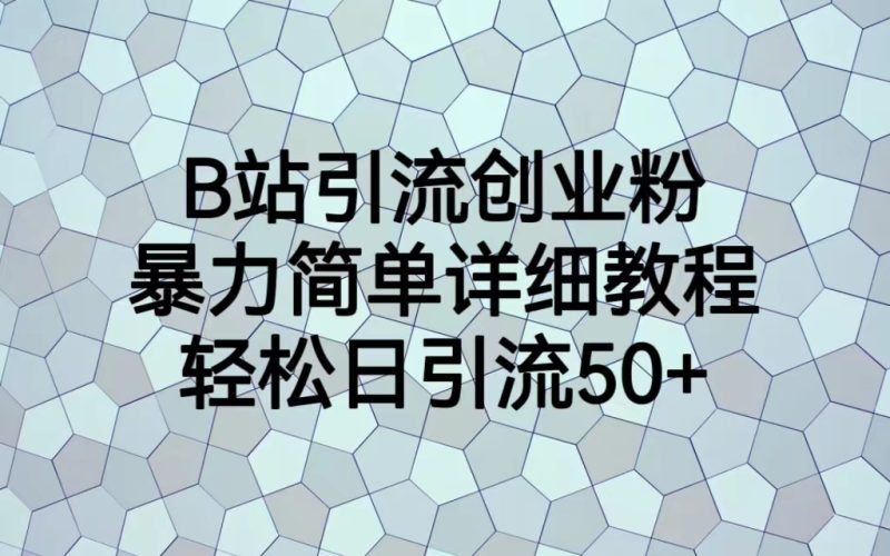 （6639期）B站引流创业粉，暴力简单详细教程，轻松日引流50+-副业宝典