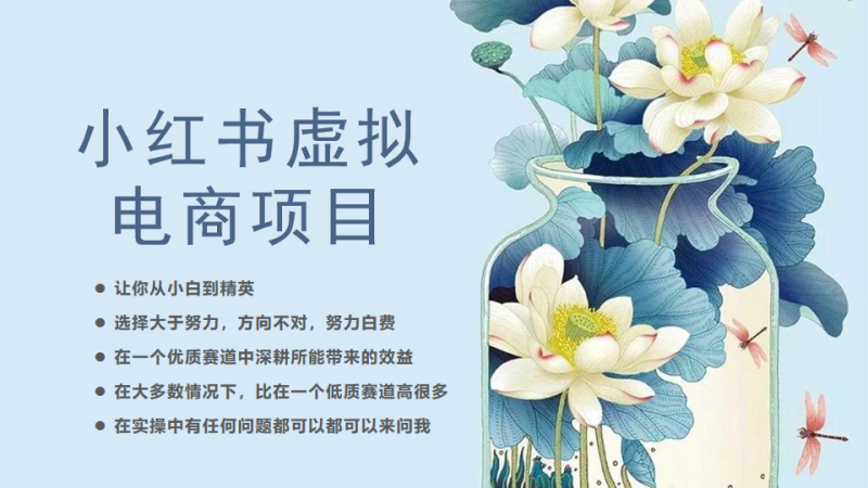 （6607期）小红书虚拟电商从0到1，让你从小白到精英（20节实操课程）-副业宝典