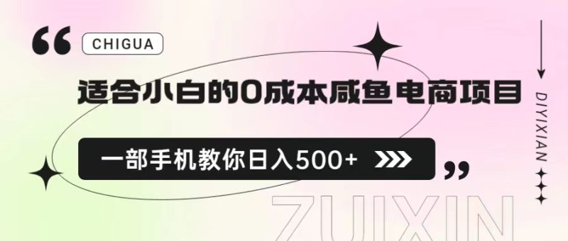 （6652期）适合小白的0成本咸鱼电商项目，一部手机，教你如何日入500+的保姆级教程-副业宝典