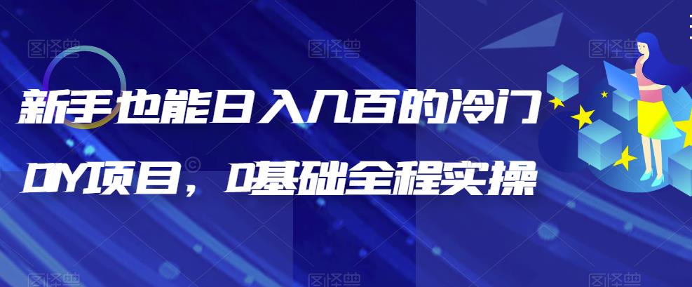 （6630期）新手也能日入几百的冷门DIY项目，0基础全程实操【揭秘】-副业宝典