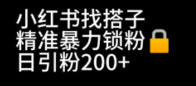 （6807期）小红书找搭子暴力精准锁粉+引流日引200+精准粉-副业宝典