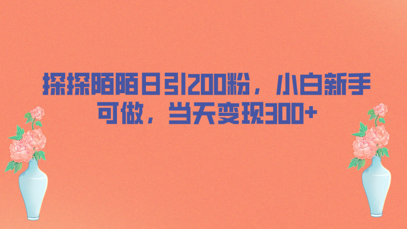 （6817期）探探陌陌日引200粉，小白新手可做，当天就能变现300+-副业宝典