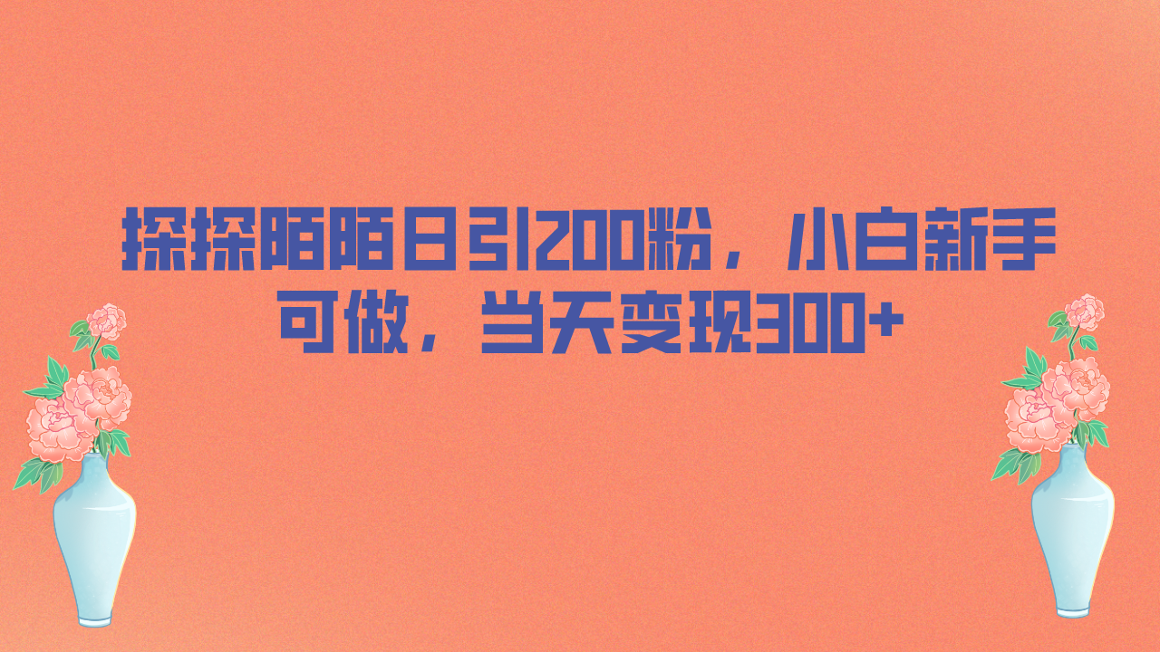 （6817期）探探陌陌日引200粉，小白新手可做，当天就能变现300+-副业宝典