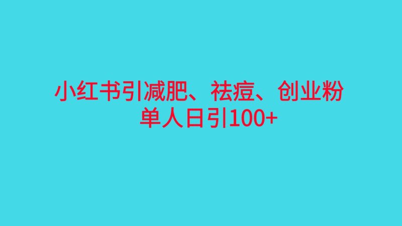 （6799期）小红书精准引流，减肥、祛痘、创业粉单人日引100+（附软件）-副业宝典