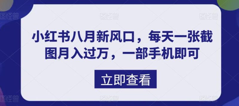 （6851期）八月新风口，小红书虚拟项目一天收入1000+，实战揭秘-副业宝典