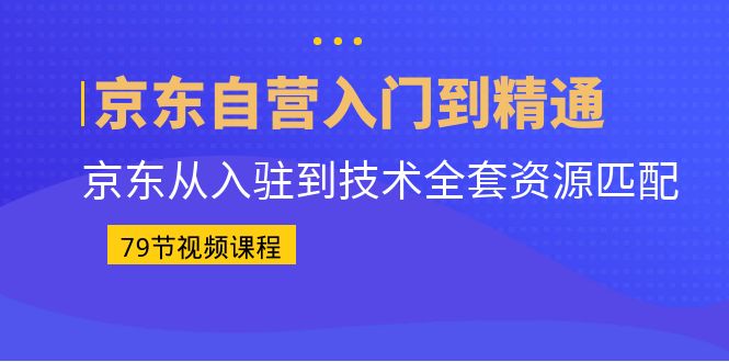 （6901期）京东自营入门到精通：京东从入驻到技术全套资源匹配（79节课）-副业宝典