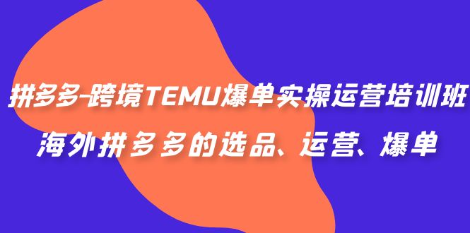 （6934期）拼多多-跨境TEMU爆单实操运营培训班，海外拼多多的选品、运营、爆单-副业宝典