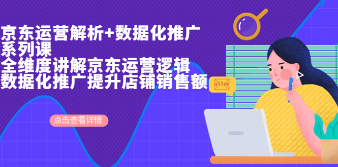 （6931期）京东运营解析与数据化推广系列课，全维度讲解京东运营逻辑+数据化推广提…-副业宝典