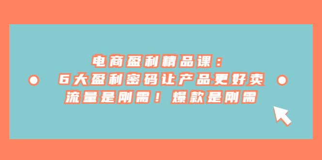 （6954期）电商 盈利精品课：6大盈利 密码让产品更好卖，流量是刚需！爆款是刚需-副业宝典