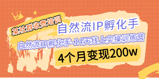 （6924期）某社群收费培训：自然流IP 孵化手-14天线上实操训练营 4个月变现200w-副业宝典