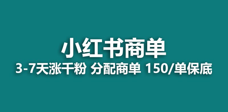 （6615期）2023最强蓝海项目，小红书商单项目，没有之一！-副业宝典